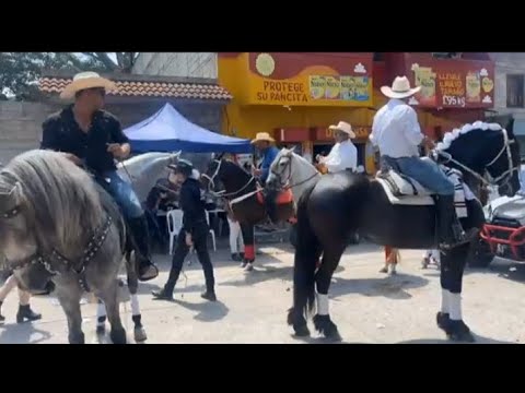 Desfile de caballos (feria Concepción las Minas) #feria #blog #keily #desfile