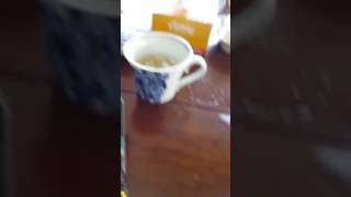 にゃんこ大戦争❗
