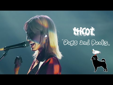 tricot「Dogs and Ducks」Live Music Video