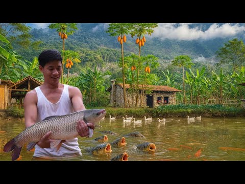 Crazy young CEO, left the city to live freely in forest, caught fish, cooked and sold as he pleased