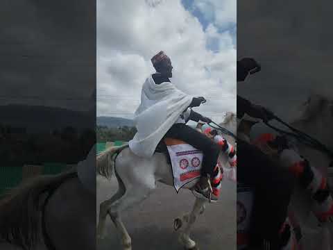 የስልጤ ፈረሰኛ #siltie #shorts #ethiopia