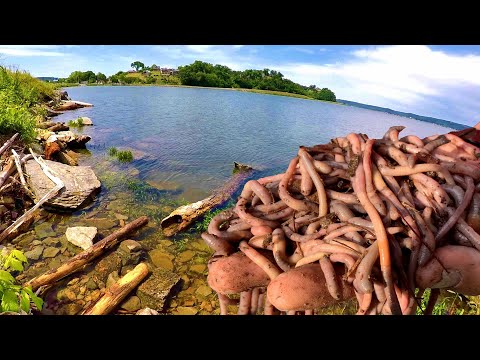 How To Catch Catfish From The Bank With Worms