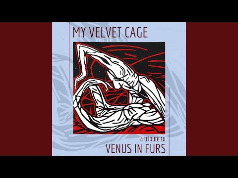 That First Wild Kiss