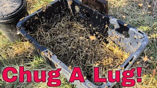Liquid Feeding Bees in February (TN)