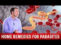 Best Home Remedies For Parasites Dr Berg