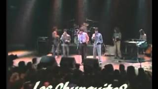 Chunguitos EMBUSTERA  PUÑOS DE ACERO VAGANDO POR AHI   YouTube