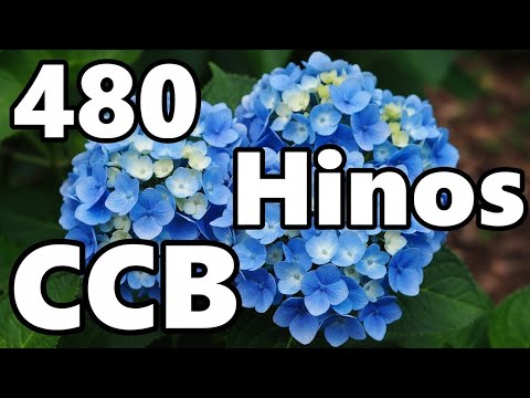 480 Hinos Cantados CCB - 55,135,360,175,480,227,211,51,200,298,55,457,475,480,01,02 - CCB 05/01/2026