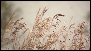 Полиция обеспокоена бесконтрольным нахождением детей на водоемах