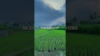 Download lagu Seventeen - Kemarin || Lirik mp3 Download lagu Seventeen - Kemarin || Lirik mp3