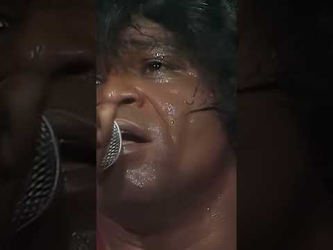 James Brown - It's A Man's Man's Man's World (11/07/1981) • World of Jazz #reggae #oldies #oldschool