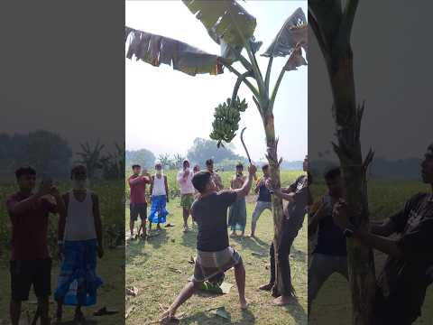 Banana farming  -Ep-🍌😱 2030 #shorts #viral #bananacutting #banana #agriculture