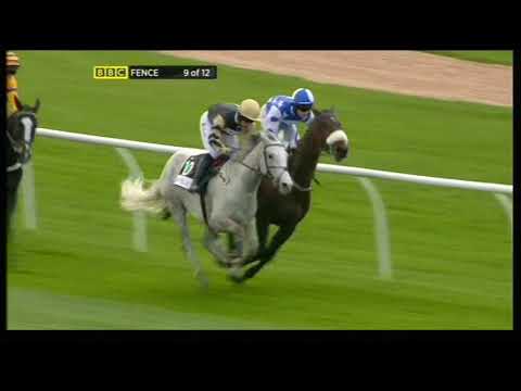 2011 Red Rum Handicap Chase - Aintree meeting