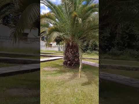 Barrio San Jorge, Valle Hermoso, Córdoba, Argentina.#vallehermoso
