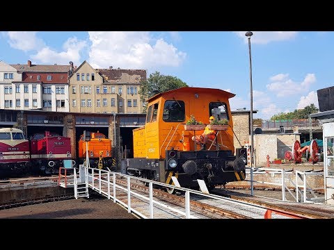 DB Museum Halle (Saale), Bw Halle P,  Sommerfest 2019