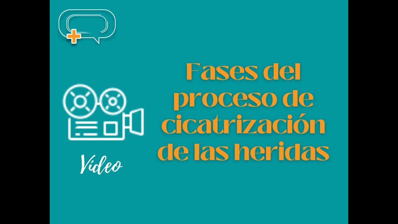 Fases del proceso de cicatrización de las heridas