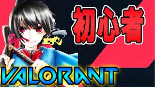 [VALORANT]お友達参加歓迎！初心者のコンペブロンズ＆アンれ！PART８