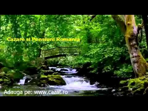 Cazare Cheresig, Bihor - Cazat.ro