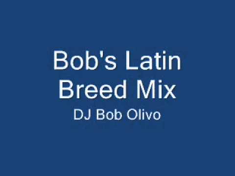 Bob's Latin Breed Mix.wmv