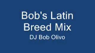 Bob's Latin Breed Mix.wmv