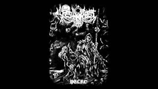 Pestnebel - Necro (Full Album)