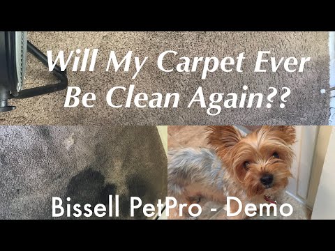 BISSELL Revolution Pet Pro| Product Review and Demo