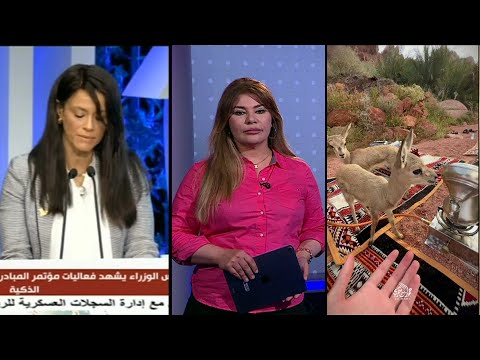 بـ40 ألف دولار شهريا.. تولي الوزيرة المصرية رانيا المشاط منصبا رفيعا في بنك خليجي يثير جدلا