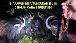 Download lagu 🔴VIRAL‼️This YouTuber easily subdues demons, plants, and animals mp3