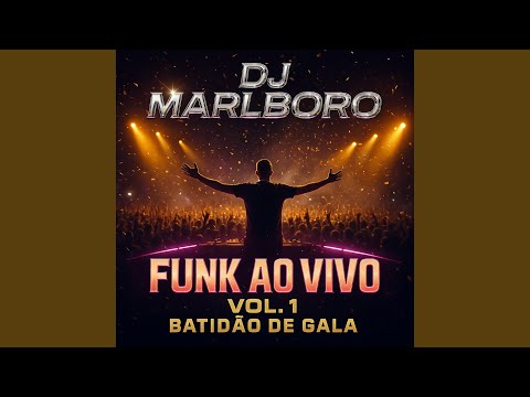 Rap da Gata (Ao Vivo)