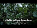 Latest WhatsApp Status Madhu Pole Peythamazhaye