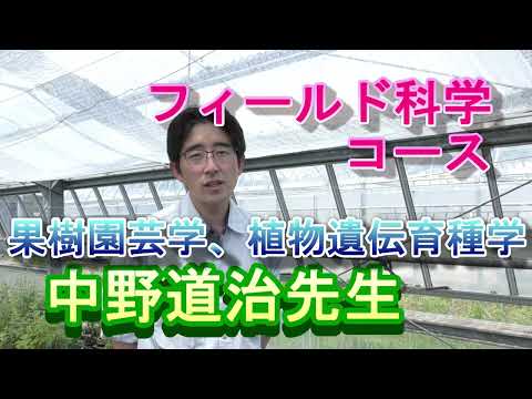 【フィールド科学コース】教員紹介（果樹園芸学ほか・中野先生）