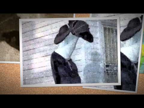 90s babies(crazy freestyle) C.L.E. The Mixtape