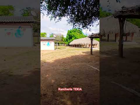 Ranchería TEKIA. Albania La Guajira.    #shorts #travel #roadtrip