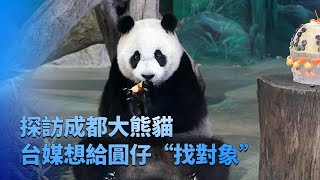 [問卦] 成都動物園想送精液給圓仔受精耶??