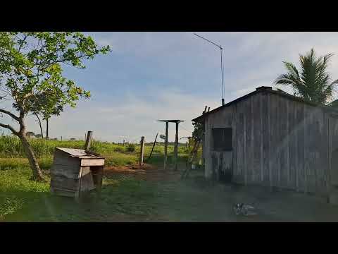 Conheça um pouco do sítio 4 irmão cujubim Rondônia 😎