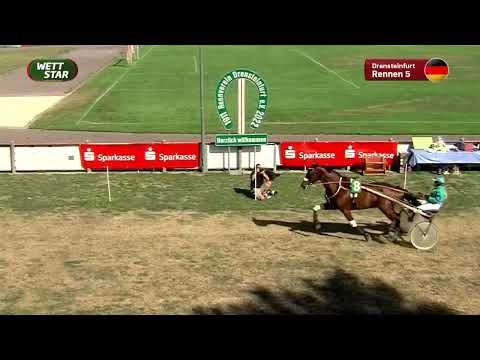 Drensteinfurt 28.08.22   5. Rennen
