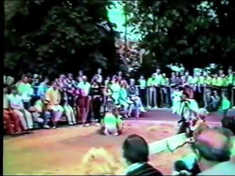 Peter Bouschen 17.43 m - 1988 Düsseldorf meeting men's triple jump