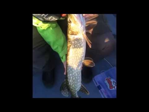 Gäddfiske med SH-Fishing Team