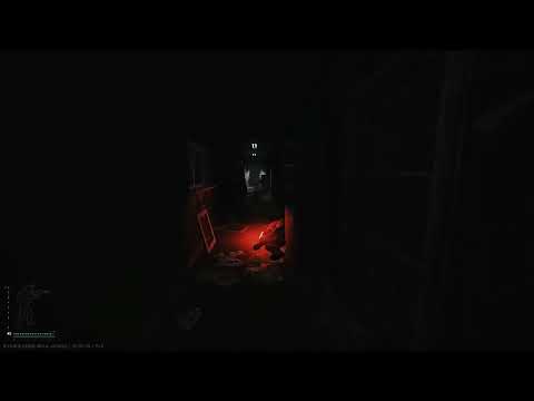 PVE Tarkov - We can't code good AI so lets just make them cheat if you get loot as a Scav