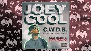 Joey Cool - C.W.D.B. (Coolie Wit Da B**ches) | OFFICIAL AUDIO
