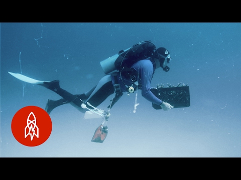 珊瑚の庭で海を癒す (Healing the Ocean With a Garden of Coral)