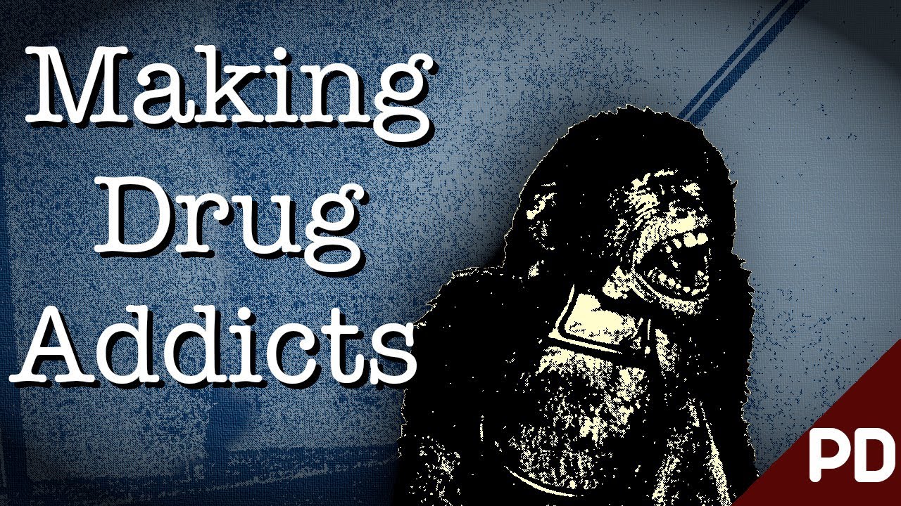 The Dark Side of Science: The Horrific Monkey Drug Experiment 1969 (Short Documentary)