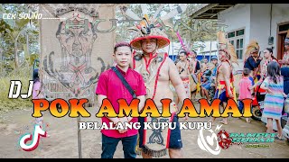 Download lagu DJ POK AMAI AMAI BELALANG KUPU KUPU [TIKTOK REMIX FULL BASS] mp3