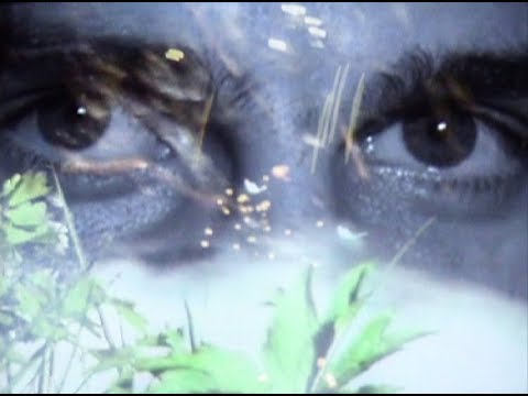 L'Art, c'est se perdre dans les châteaux du rêve (entretien avec Philippe Garrel III) (1982)