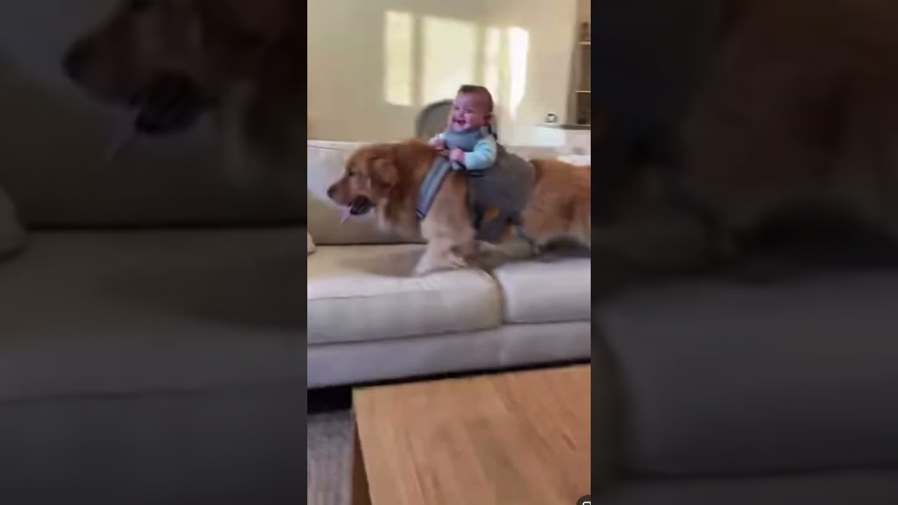 He was having so much fun 🤣