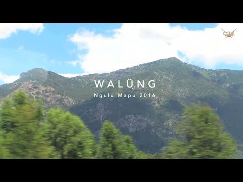 WAIKIL - Gira Walüng - Ngulu Mapu 2016