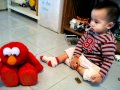 ELMO เป็นรัยหรอ AVI