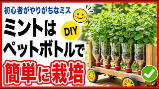 初心者必見！ミントはペットボトルで簡単栽培！失敗しない育て方 🌿