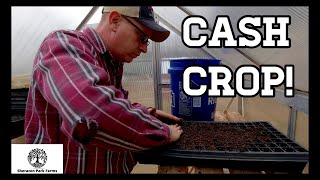 Make Money Gardening - Starting Seeds In The Greenhouse