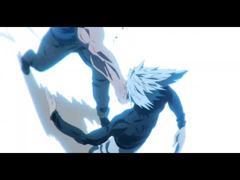 Garou's Counter
