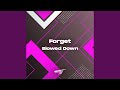 Forget - Slowed Down (Remix)